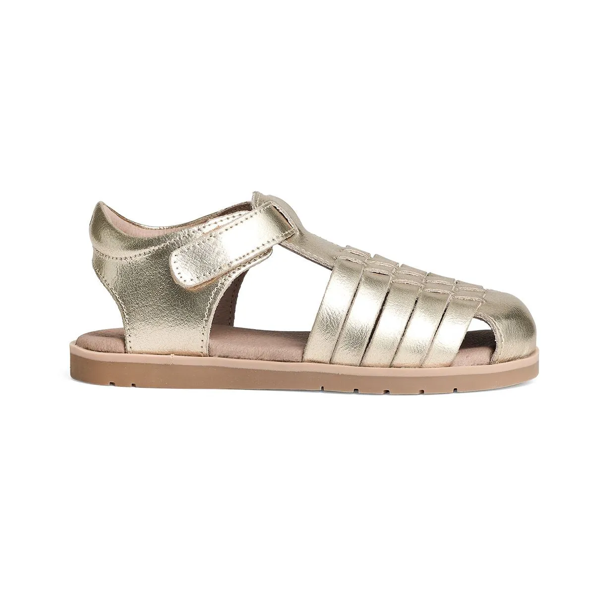 Frankie (Gold)