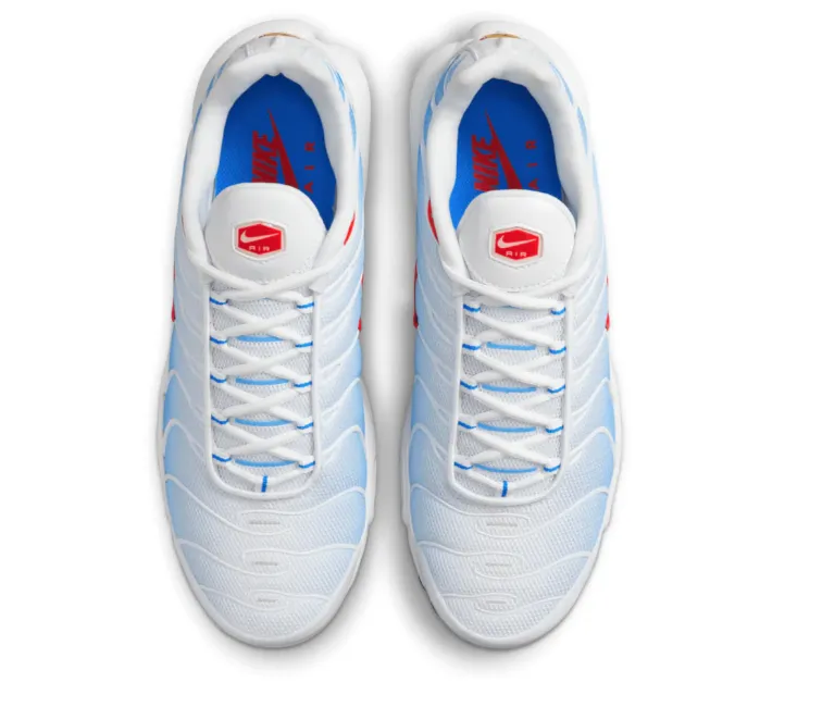 Men's Nike Air Max Plus TN (Tides)