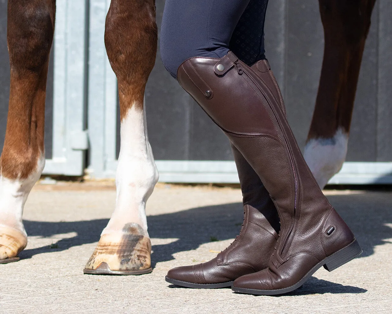 QHP Tamar Riding Boots